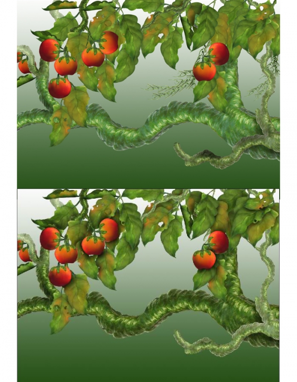 Creation of Life Fruit: Step 8